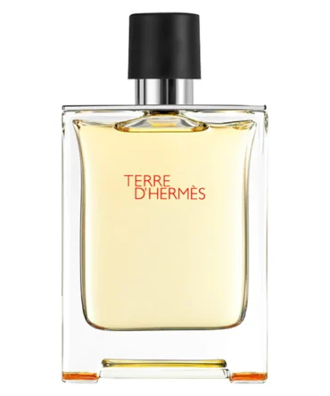 Terre d’Hermes Eau De Toilette - 100ml